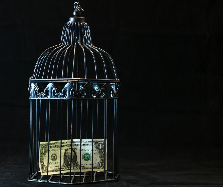 BristolNow-Caged Money